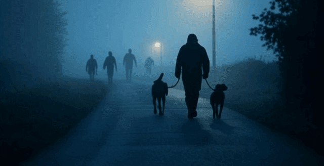 dog-walker-chased-gang-essex-stabbing-2025 Illustration of a dog walker chased by gang in Essex UK stabbing incident, foggy path at night with shadows.